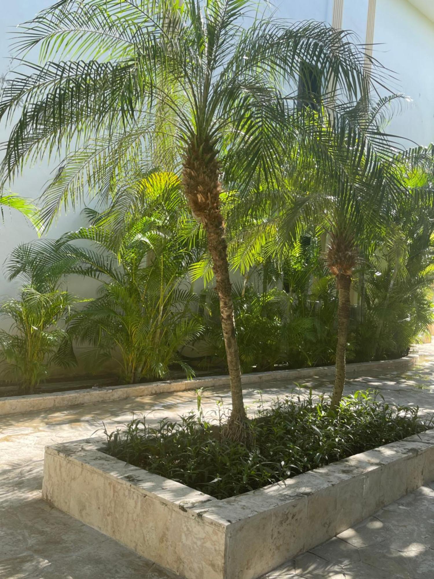Hotel Plaza Brisas Mt Punta Cana Exterior foto